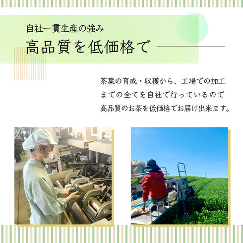 抹茶深蒸茶 50g
